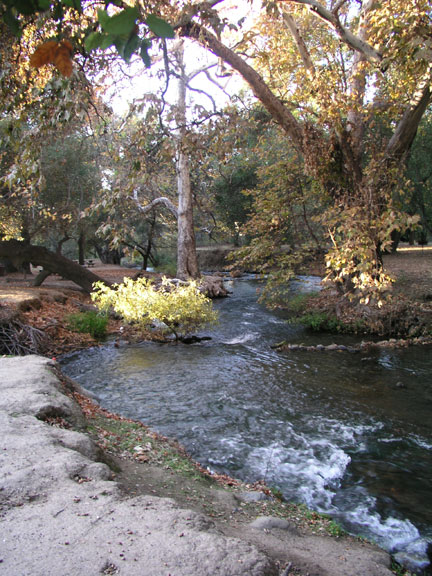 [ Photo of Coyote Creek. ]