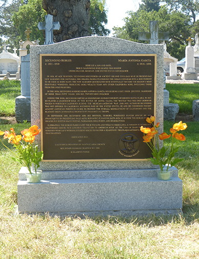 Photo of plaque wide